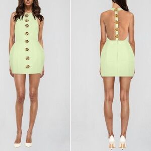 NWT Atoir Tiffany Dress Rose Floral Button Open Back Mint Green Sz 2